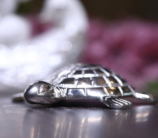 The Silver Plated Tortoise