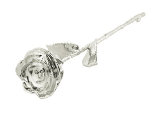 Silver Rose