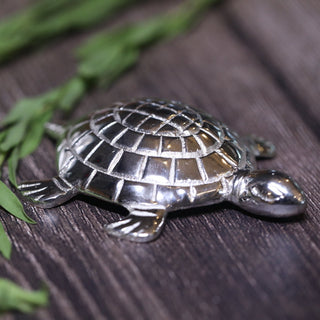 The Silver Plated Tortoise